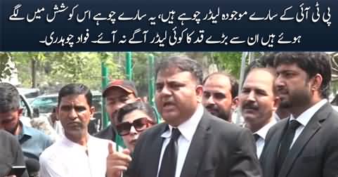 All current leaders of PTI are rats - Fawad Chaudhry bashes current leadership of PTI