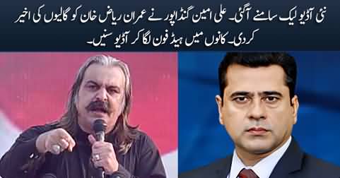 Another audio leak: Ali Amin Gandapur badly abusing Imran Riaz Khan