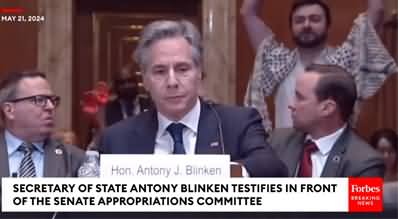 Antony Blinken repeatedly interrupted by pro Palestine protesters during testimony at senate hearing