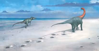 Biggest ever dinosaur footprint site discovered in the UK