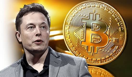 Bitcoin Price Crash: Elon Musk's Tweets Jolt Cryptocurrency Market