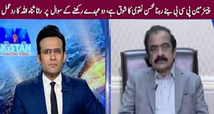 Chairman PCB Rehna Mohsin Naqvi Ka Apna Shoq Hai - Rana Sanaullah