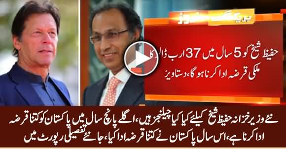 Challenges For New Finance Minister, How Much Loan PTI Govt Has To Pay in Next Five Years