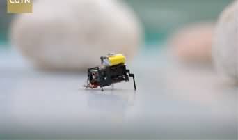 China's bug-like microbot races at blistering speeds