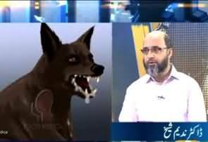 Dr. Nadeem Sheikh Telling the Precautions of Rabies Dog Virus If it Bite a man