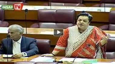 Dr Shireen Mazari Questions Mariam Nawaz Appointment for Youth Loan Program at National Assembly