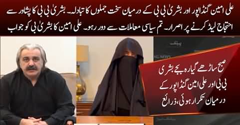 Exchange of harsh words between CM Ali Amin Gandapur and Bushra Bibi