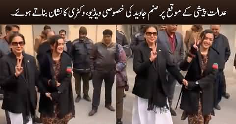 Exclusive footage: Sanam Javed making victory sign while appearing in court