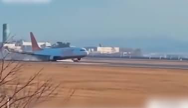 Exclusive video of South Korea's plane crash while landing