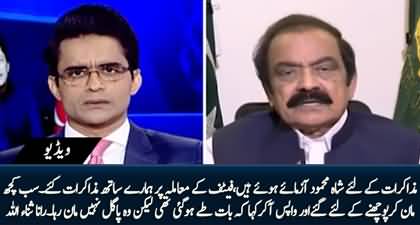 FATF Per Shah Mehmood Muamlat Tay Kar Ke Gaye, Magar Wapsi Pe Kaha Ke Ye Pagal Nahin Man Raha - Rana Sanaullah