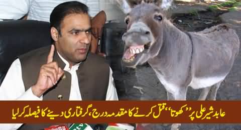 FIR Registered Against Abid Sher Ali Regarding Donkey Murder, Abid Sher Ali Decides To Surrender