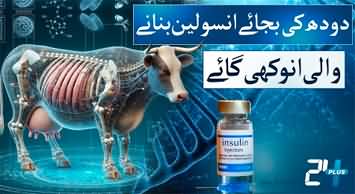 Genetically altered cow produces milk with human insulin