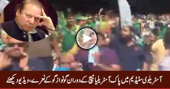 Go Nawaz Go Slogans in Australian Stadium During Pak Australia Match