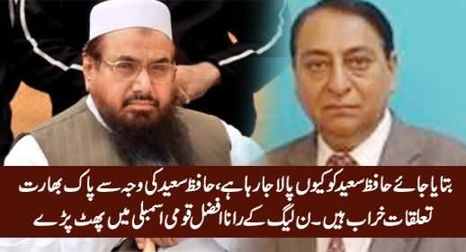 Hafiz Saeed Ko Kyun Paala Ja Raha Hai, Iski Waja Se Pak Bharat Tauluqat Kharab Hain - PMLN Rana Afzal