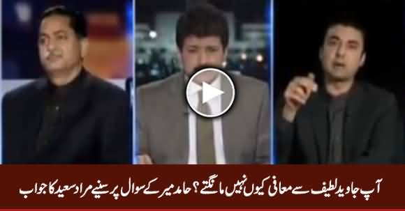 Hamid Mir Insists Murad Saeed To Apologize To Javed Latif, Watch Murad Saeed's Reply