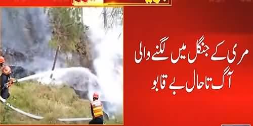 Horrible Fire Erupted in Murree Hills Forest