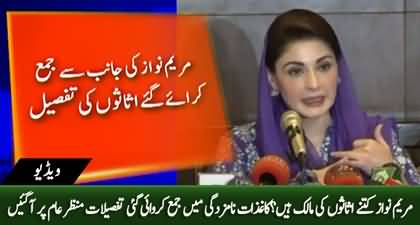 How many assets does Maryam Nawaz own? Details of assets submitted by Maryam Nawaz in election commission