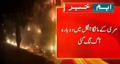 Huge Fire Sweeps Through Murree's Forest 'Manga'