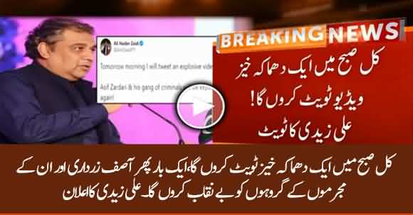 I Will Tweet A Video Tomorrow That Will Expose Asif Zardari And Others - Ali Zaidi Tweets