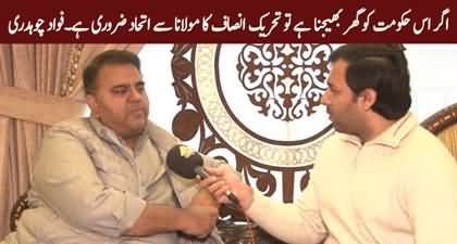 If PTI wants to throw this govt, it should ally with Maulana Fazlur Rehman - Fawad Chaudhry