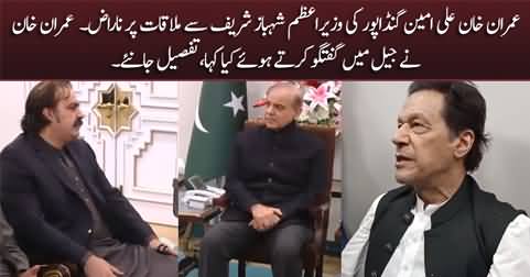 Imran Khan angry with Ali Amin Gandapur for meeting PM Shahbaz Sharif