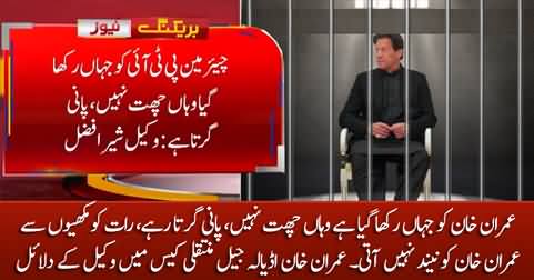 Imran Khan cannot sleep at night in Attock jail due to flies - Imran Khan's lawyer says in court