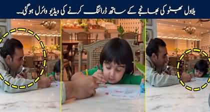 Interesting video of Bilawal Bhutto drawing with his nephew goes viral