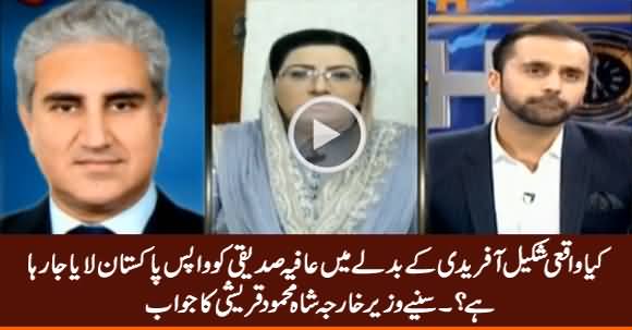 Is Afia Siddiqui Being Brought Back In Return of Shakeel Afridi? Listen Shah Mehmood's Reply