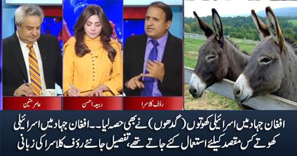 Israeli Donkeys Were Used In Afghan Jehad - Rauf Klasra Reveals