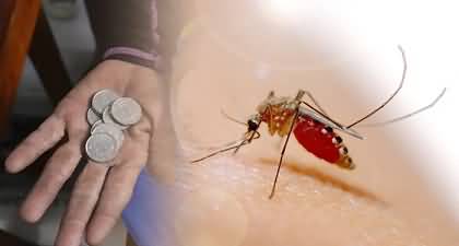 Kill mosquitoes and get reward - Philippines solution to Curb dengue outbreak