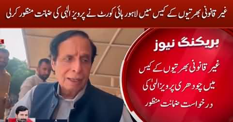 Lahore High Court grants bail to Parvez Elahi in illegal appointment case