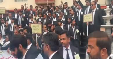 Lawyers rally blocked from entering red zone, ahead of dog judicial commission meeting