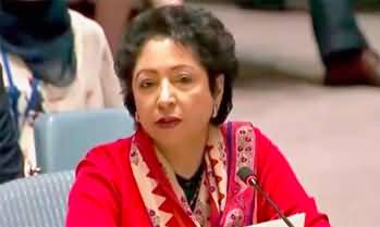 Maleeha Lodhi's views on ICJ's judgement against Israel