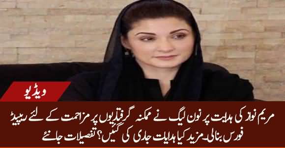 Maryam Nawaz Orders To Form A Rapid PMLN Force For Resistance On Possible Arrests