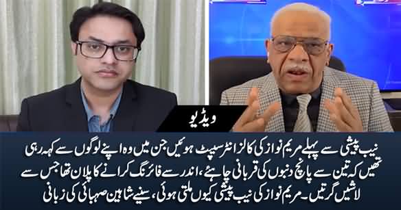 Maryam Nawaz's Calls Intercepted Before NAB Appearance, She Was Planning Violence - Shaheen Sehbai