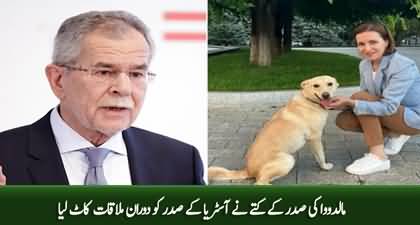 Moldovan President Maia Sandu's dog bites Austrian President on the hand