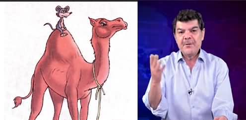 Mubashir Luqman narrates interesting story of a camel and a rat