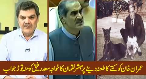 Mubashir Luqman's Reply to Khawaja Saad Rafique on His Statement About Imran Khan's Dog Sheru