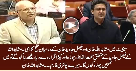 Mushahid Ullah Khan Uses Harsh Words For Faisal Javed Khan in Senate