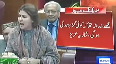 Nawaz Sharif Has Insulted This Parliament - Shazia Marri Bashing Nawaz Sharif