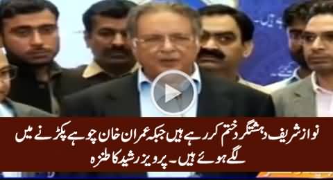 Nawaz Sharif Is Eliminating Terrorists While Imran Khan Is Killing Rats - Pervez Rasheed