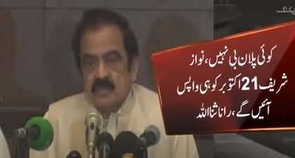 Nawaz Sharif will come with protective bail and surrender before the court - Rana Sanaullah