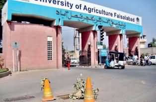 One Month Old Dead body of young Person found in Agriculture University Faisalabad