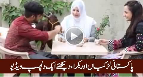 Pakistani Larkiyan Aur Bakra, Before And After Eid - Watch An Interesting Video