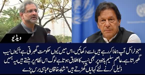 People Are Laughing On Cases Made Against Us - Shahid Khaqan Abbasi Media Talk