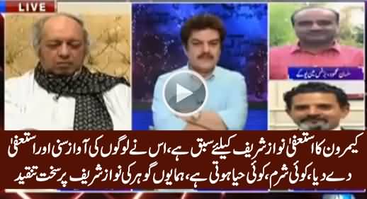 PM Nawaz Sharif Should Learn From David Cameron - Hamayun Gohar Bashing Nawaz Sharif