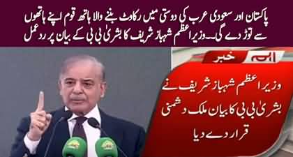 PM Shehbaz Sharif's aggressive response to Bushra Bibi's statement about Saudi Arabia