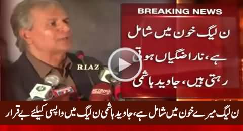 PMLN Mere Khoon Mein Shamil Hai, Narazgian Hoti Rehti Hain - Javed Hashmi