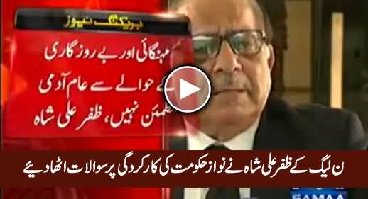 PMLN's Zafar Ali Shah Raises Questions on Federal Government's Performance