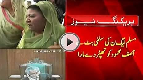 PMLN Salma Butt Slaps PTI MPA Asif Mehmood in Punjab Assembly